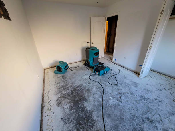 Best Flooded house restoration  in Baldwinville, MA