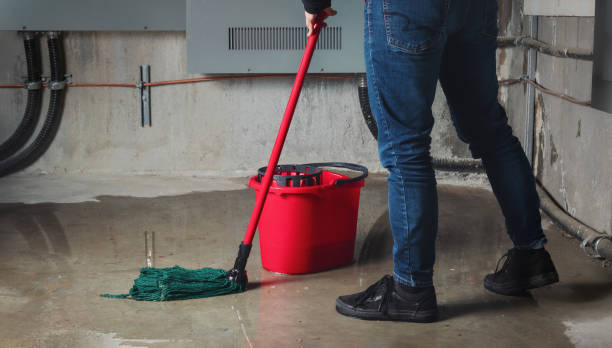 Best Water damage contractors near me  in Baldwinville, MA