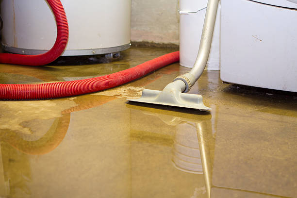 Best Flood damage cleanup  in Baldwinville, MA
