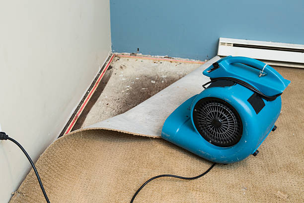 Best Basement water damage restoration  in Baldwinville, MA